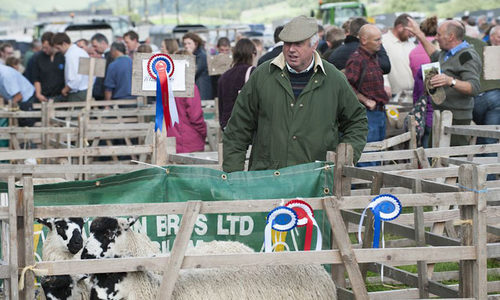 Local shows Yorkshire dales